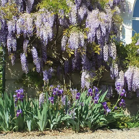 Chateau Des Edelins 3* Bayet